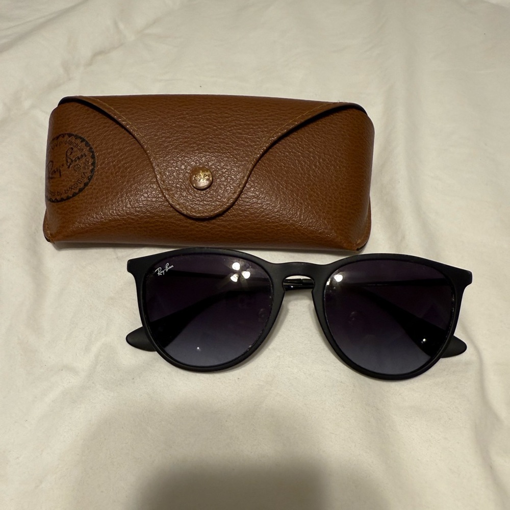 Ray-Ban Erika Sunglasses